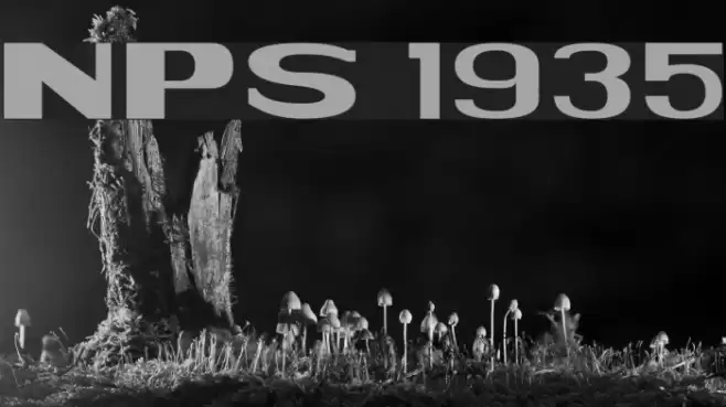 NPS 1935 Font examples