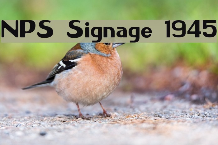 NPS Signage 1945 Font examples
