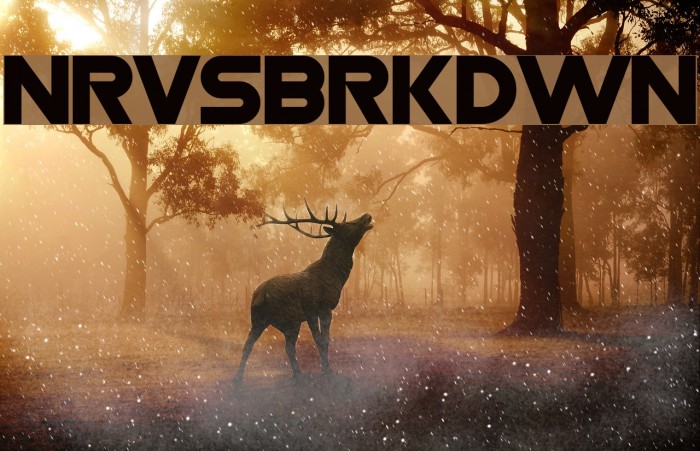 Nrvsbrkdwn Font examples