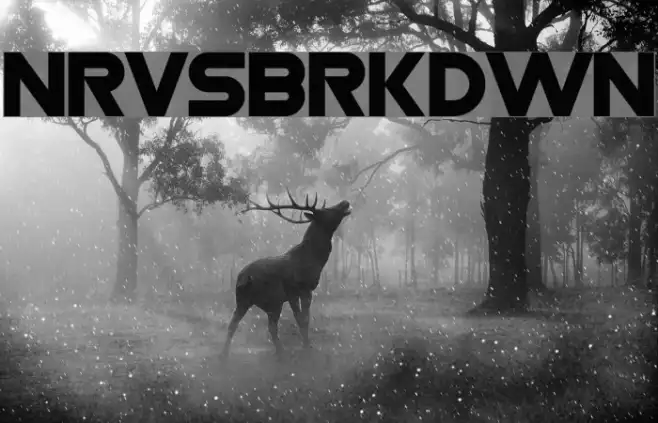 Nrvsbrkdwn Example 2