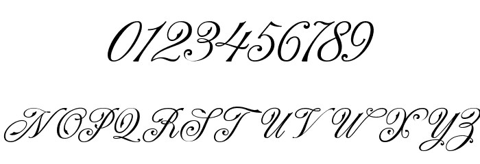 NS Champtone Script Font OTHER CHARS