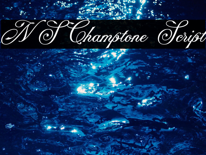 NS Champtone Script Example 1