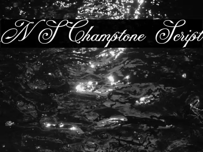NS Champtone Script Example 1