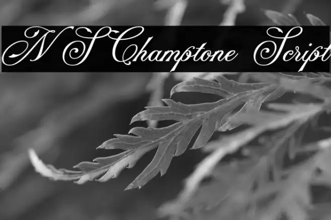 NS Champtone Script Example 2