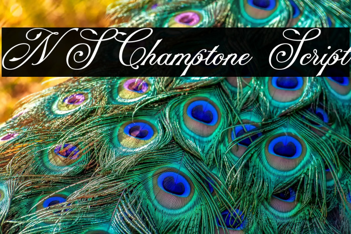 NS Champtone Script Example 3