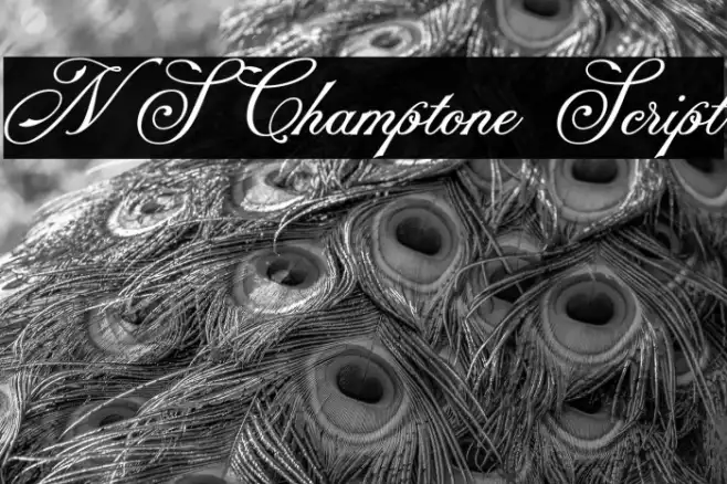 NS Champtone Script Example 3