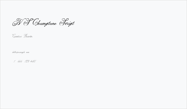 NS Champtone Script Business Card