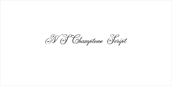 NS Champtone Script Logo
