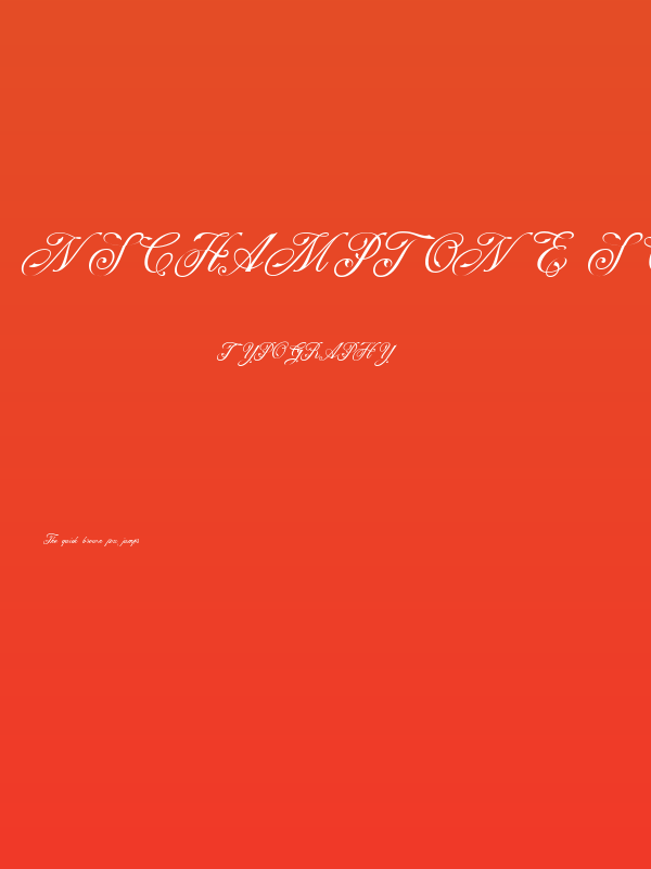 NS Champtone Script Poster