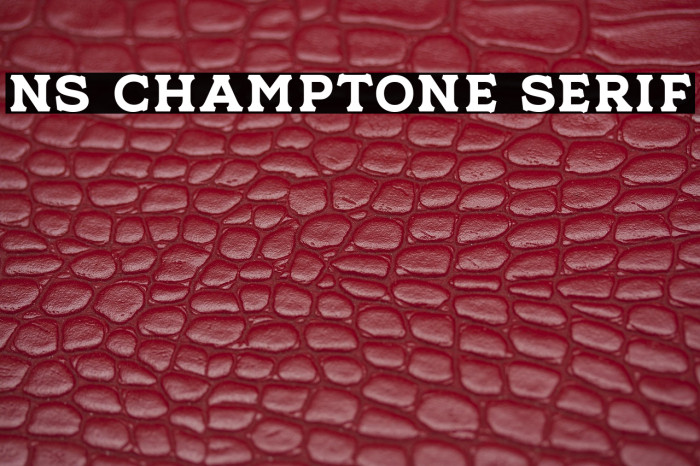 NS Champtone Serif Example 1