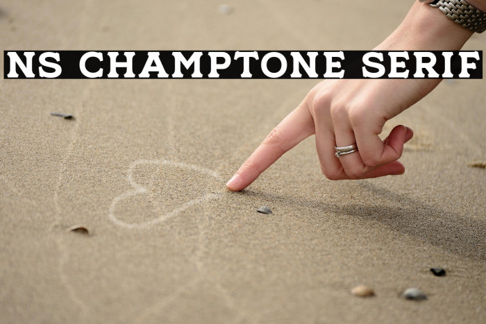 NS Champtone Serif Example 2