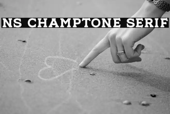 NS Champtone Serif Font examples