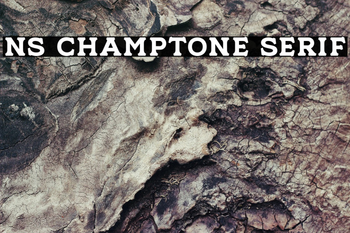 NS Champtone Serif Example 3