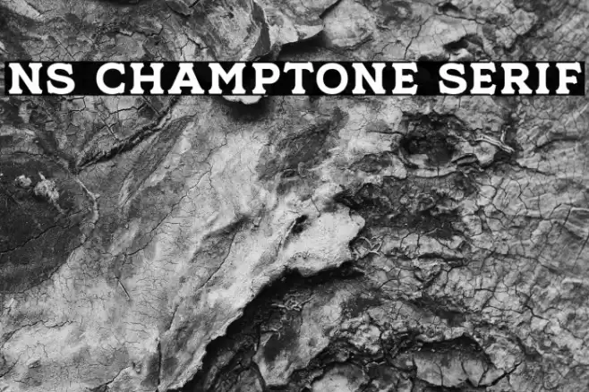 NS Champtone Serif Font examples