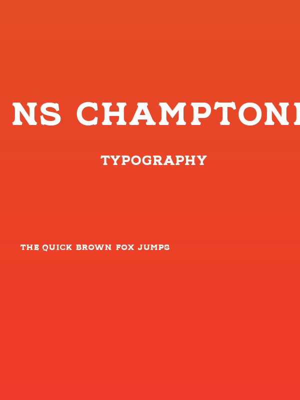 NS Champtone Serif Poster