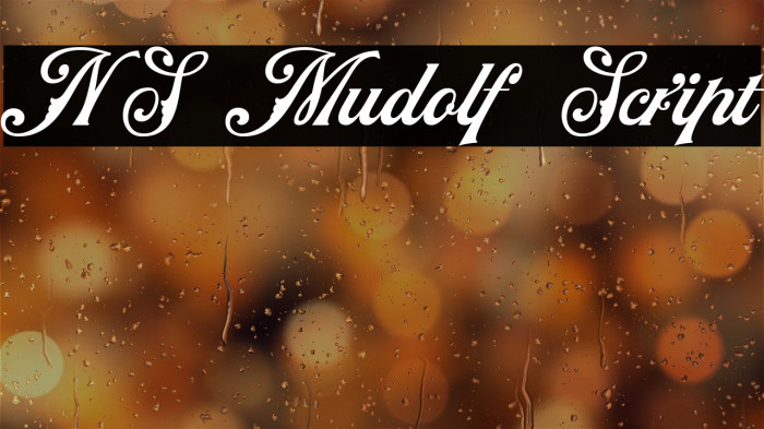 NS Mudolf Script Example 1