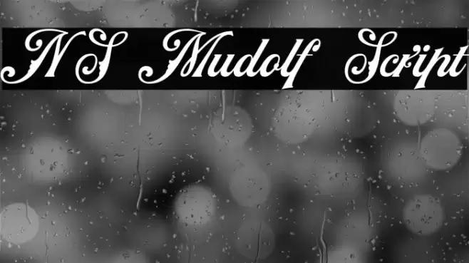NS Mudolf Script Font examples