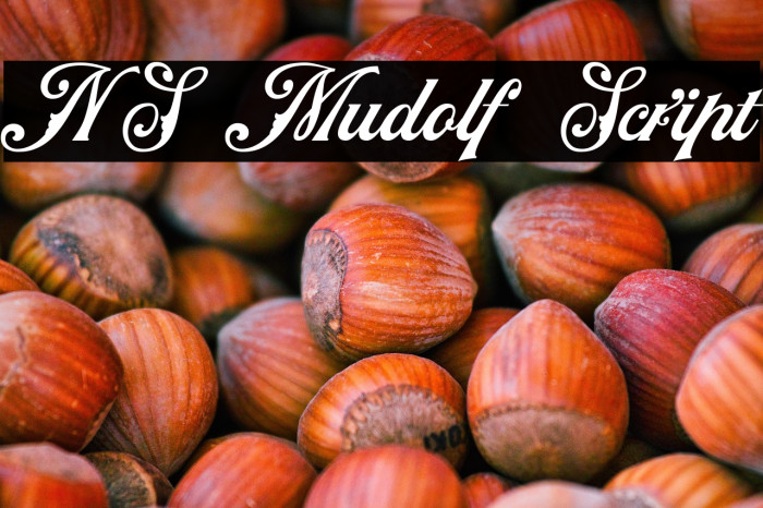 NS Mudolf Script Example 2