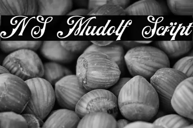 NS Mudolf Script Font examples