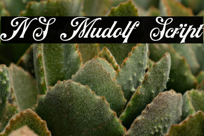 NS Mudolf Script Example 3