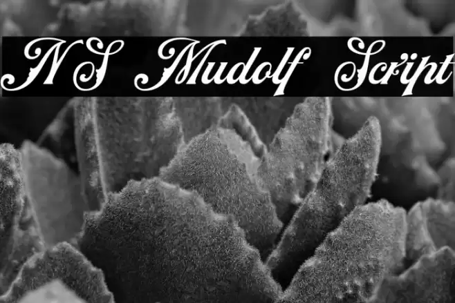 NS Mudolf Script Font examples