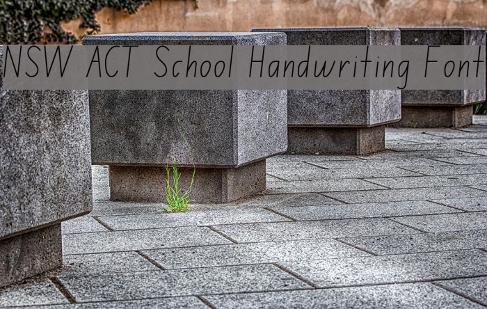NSW ACT School Handwriting Font Font examples