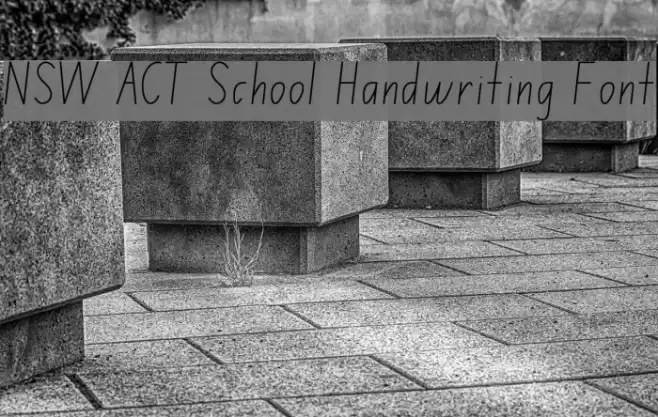 NSW ACT School Handwriting Font Font examples