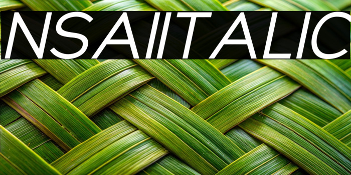 NsaiItalic Example 1