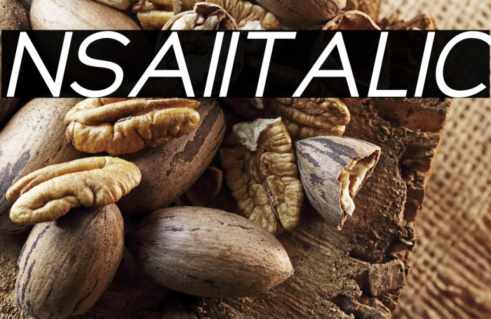 NsaiItalic Example 3