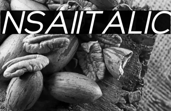 NsaiItalic Font examples