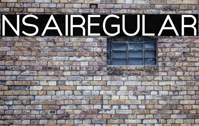 NsaiRegular Example 1