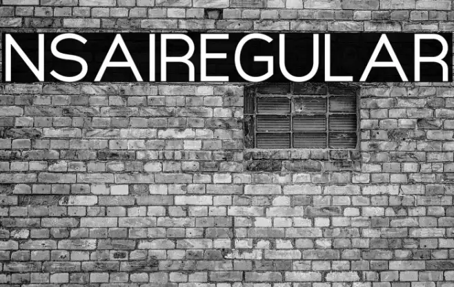 NsaiRegular Example 1