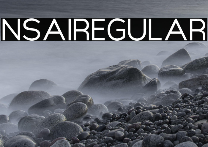 NsaiRegular Example 3