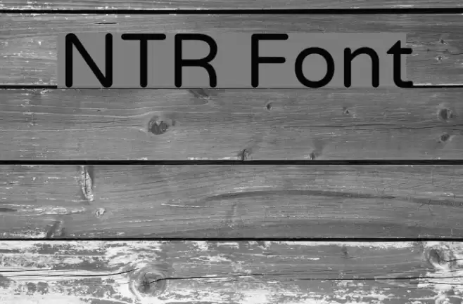 NTR Font examples
