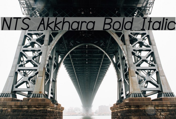 NTS Akkhara Bold Italic Font examples