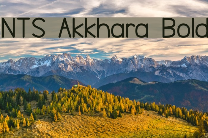 NTS Akkhara Bold Font examples