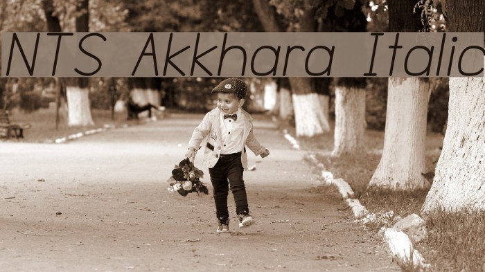 NTS Akkhara Italic Font examples