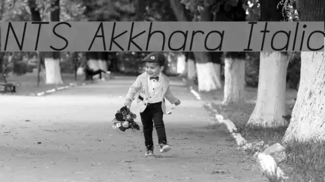 NTS Akkhara Italic Example 1
