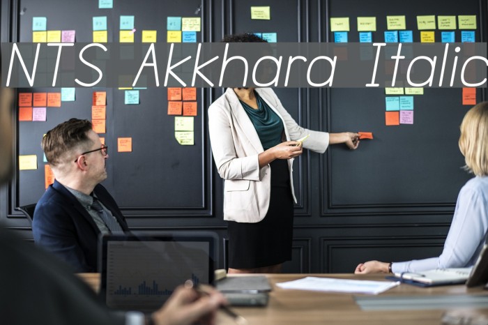 NTS Akkhara Italic Font examples