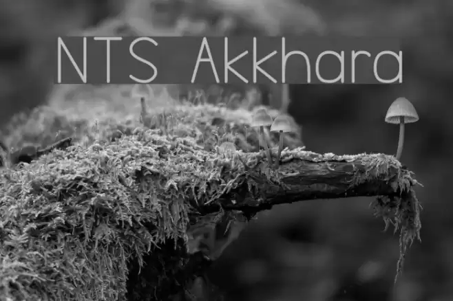 NTS Akkhara Font examples