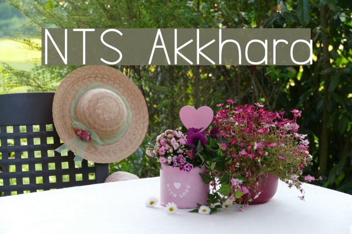 NTS Akkhara Example 3