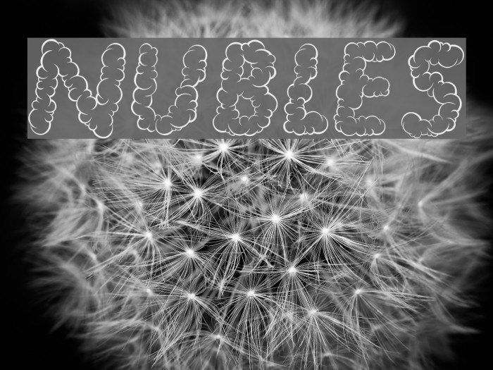 NUBLES Font examples
