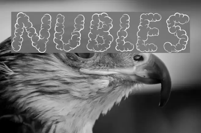 NUBLES examples