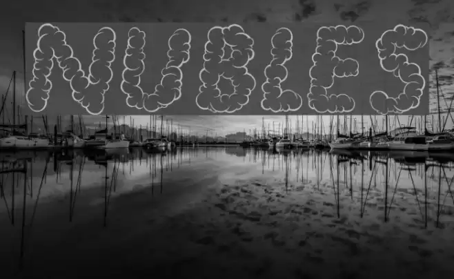 NUBLES examples