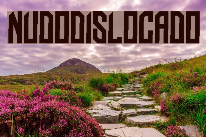NUDO-Dislocado Font examples