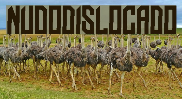 NUDO-Dislocado Font examples