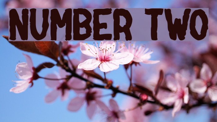 NUMBER two Font examples