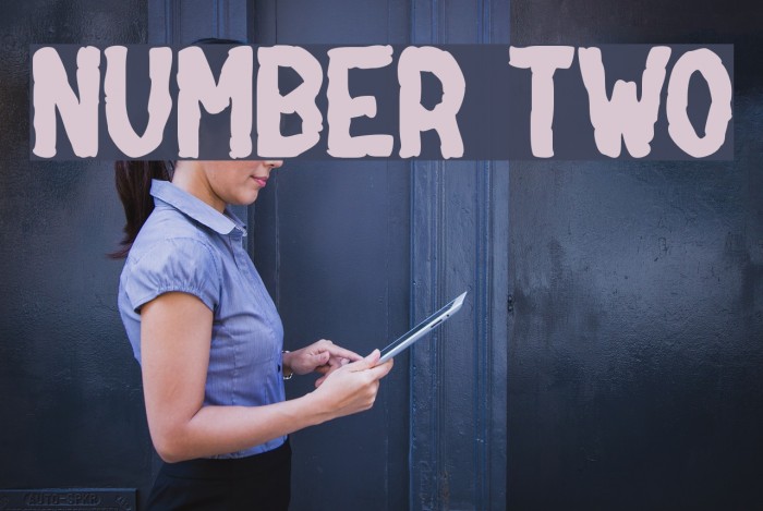 NUMBER two Font examples