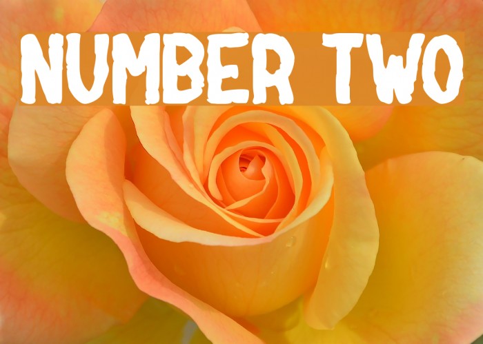 NUMBER two Font examples