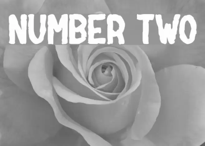NUMBER two Caratteri examples